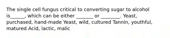 The single cell fungus critical to converting sugar to alcohol is______, which can be either _______ or ________. Yeast, purchased, hand-made Yeast, wild, cultured Tannin, youthful, matured Acid, lactic, malic