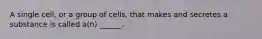 A single cell, or a group of cells, that makes and secretes a substance is called a(n) ______.