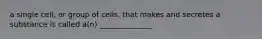 a single cell, or group of cells, that makes and secretes a substance is called a(n) ______________