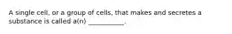 A single cell, or a group of cells, that makes and secretes a substance is called a(n) ___________.