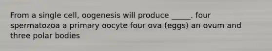 From a single cell, oogenesis will produce _____. four spermatozoa a primary oocyte four ova (eggs) an ovum and three polar bodies