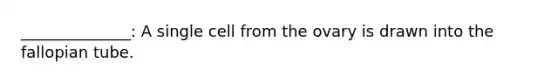 ______________: A single cell from the ovary is drawn into the fallopian tube.