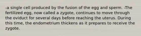 -a single cell produced by the fusion of the egg and sperm. -The fertilized egg, now called a zygote, continues to move through the oviduct for several days before reaching the uterus. During this time, the endometrium thickens as it prepares to receive the zygote.