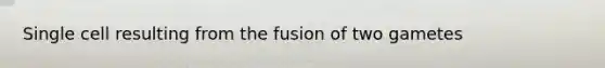 Single cell resulting from the fusion of two gametes