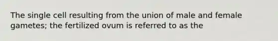 The single cell resulting from the union of male and female gametes; the fertilized ovum is referred to as the