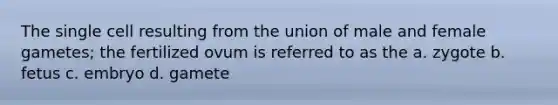 The single cell resulting from the union of male and female gametes; the fertilized ovum is referred to as the a. zygote b. fetus c. embryo d. gamete