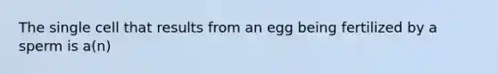 The single cell that results from an egg being fertilized by a sperm is a(n)