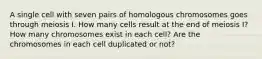 A single cell with seven pairs of homologous chromosomes goes through meiosis I. How many cells result at the end of meiosis I? How many chromosomes exist in each cell? Are the chromosomes in each cell duplicated or not?