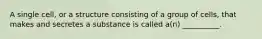 A single cell, or a structure consisting of a group of cells, that makes and secretes a substance is called a(n) __________.