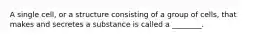 A single cell, or a structure consisting of a group of cells, that makes and secretes a substance is called a ________.