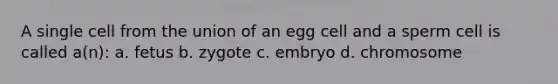 A single cell from the union of an egg cell and a sperm cell is called a(n): a. fetus b. zygote c. embryo d. chromosome