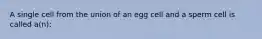 A single cell from the union of an egg cell and a sperm cell is called a(n):