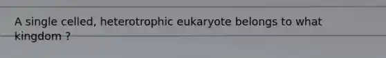 A single celled, heterotrophic eukaryote belongs to what kingdom ?