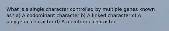 What is a single character controlled by multiple genes known as? a) A codominant character b) A linked character c) A polygenic character d) A pleiotropic character