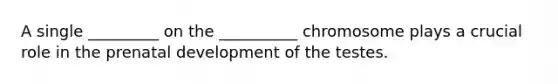 A single _________ on the __________ chromosome plays a crucial role in the prenatal development of the testes.