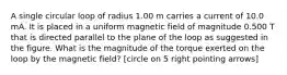 A single circular loop of radius 1.00 m carries a current of 10.0 mA. It is placed in a uniform magnetic field of magnitude 0.500 T that is directed parallel to the plane of the loop as suggested in the figure. What is the magnitude of the torque exerted on the loop by the magnetic field? [circle on 5 right pointing arrows]