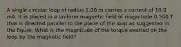 A single circular loop of radius 1.00 m carries a current of 10.0 mA. It is placed in a uniform magnetic field of magnitude 0.500 T that is directed parallel to the plane of the loop as suggested in the figure. What is the magnitude of the torque exerted on the loop by the magnetic field?