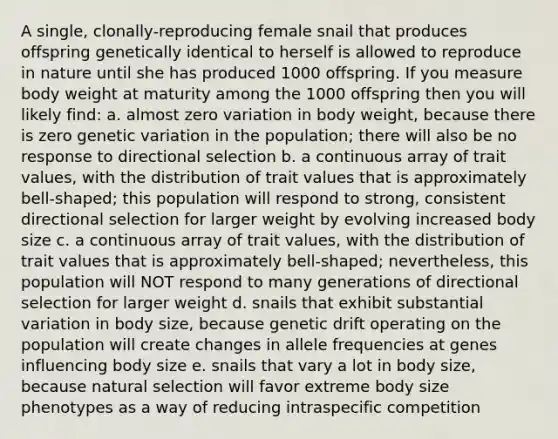 A single, clonally-reproducing female snail that produces offspring genetically identical to herself is allowed to reproduce in nature until she has produced 1000 offspring. If you measure body weight at maturity among the 1000 offspring then you will likely find: a. almost zero variation in body weight, because there is zero genetic variation in the population; there will also be no response to directional selection b. a continuous array of trait values, with the distribution of trait values that is approximately bell-shaped; this population will respond to strong, consistent directional selection for larger weight by evolving increased body size c. a continuous array of trait values, with the distribution of trait values that is approximately bell-shaped; nevertheless, this population will NOT respond to many generations of directional selection for larger weight d. snails that exhibit substantial variation in body size, because genetic drift operating on the population will create changes in allele frequencies at genes influencing body size e. snails that vary a lot in body size, because natural selection will favor extreme body size phenotypes as a way of reducing intraspecific competition