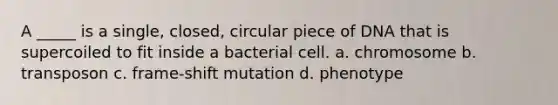 A _____ is a single, closed, circular piece of DNA that is supercoiled to fit inside a bacterial cell. a. chromosome b. transposon c. frame-shift mutation d. phenotype