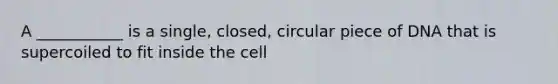 A ___________ is a single, closed, circular piece of DNA that is supercoiled to fit inside the cell