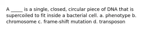 A _____ is a single, closed, circular piece of DNA that is supercoiled to fit inside a bacterial cell. a. phenotype b. chromosome c. frame-shift mutation d. transposon