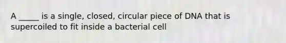 A _____ is a single, closed, circular piece of DNA that is supercoiled to fit inside a bacterial cell