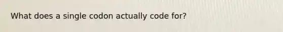 What does a single codon actually code for?