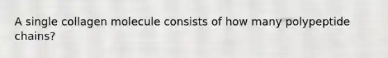 A single collagen molecule consists of how many polypeptide chains?