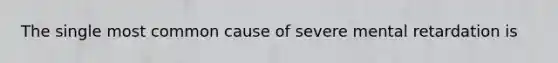 The single most common cause of severe mental retardation is