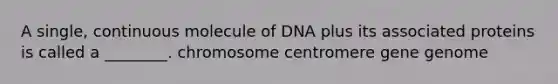 A single, continuous molecule of DNA plus its associated proteins is called a ________. chromosome centromere gene genome