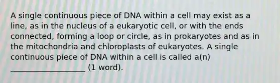 A single continuous piece of DNA within a cell may exist as a line, as in the nucleus of a eukaryotic cell, or with the ends connected, forming a loop or circle, as in prokaryotes and as in the mitochondria and chloroplasts of eukaryotes. A single continuous piece of DNA within a cell is called a(n) ___________________ (1 word).