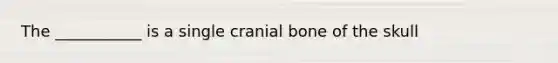 The ___________ is a single cranial bone of the skull