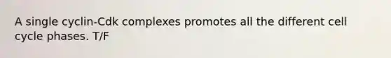 A single cyclin-Cdk complexes promotes all the different cell cycle phases. T/F