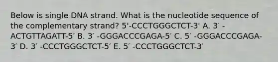 Below is single DNA strand. What is the nucleotide sequence of the complementary strand? 5'-CCCTGGGCTCT-3' A. 3′ -ACTGTTAGATT-5′ B. 3′ -GGGACCCGAGA-5′ C. 5′ -GGGACCCGAGA-3′ D. 3′ -CCCTGGGCTCT-5′ E. 5′ -CCCTGGGCTCT-3′