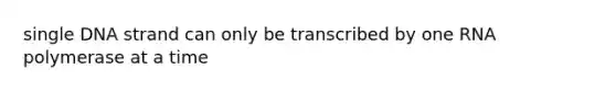 single DNA strand can only be transcribed by one RNA polymerase at a time