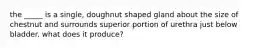 the _____ is a single, doughnut shaped gland about the size of chestnut and surrounds superior portion of urethra just below bladder. what does it produce?