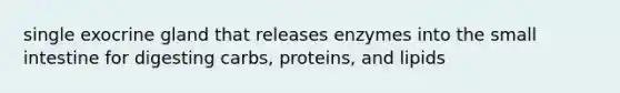 single exocrine gland that releases enzymes into the small intestine for digesting carbs, proteins, and lipids