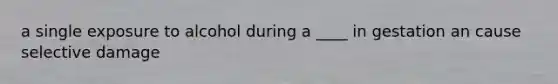 a single exposure to alcohol during a ____ in gestation an cause selective damage