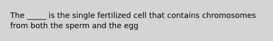 The _____ is the single fertilized cell that contains chromosomes from both the sperm and the egg