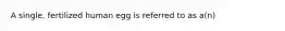 A single, fertilized human egg is referred to as a(n)