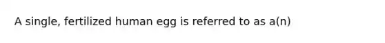 A single, fertilized human egg is referred to as a(n)