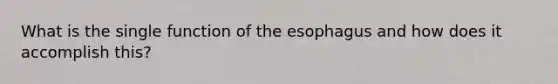 What is the single function of the esophagus and how does it accomplish this?