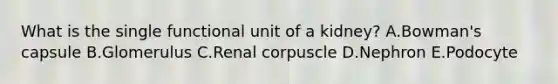 What is the single functional unit of a kidney? A.Bowman's capsule B.Glomerulus C.Renal corpuscle D.Nephron E.Podocyte