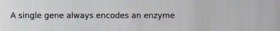 A single gene always encodes an enzyme