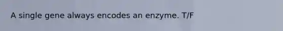 A single gene always encodes an enzyme. T/F