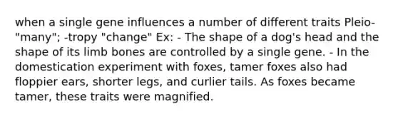 when a single gene influences a number of different traits Pleio- "many"; -tropy "change" Ex: - The shape of a dog's head and the shape of its limb bones are controlled by a single gene. - In the domestication experiment with foxes, tamer foxes also had floppier ears, shorter legs, and curlier tails. As foxes became tamer, these traits were magnified.