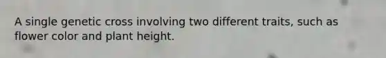 A single genetic cross involving two different traits, such as flower color and plant height.