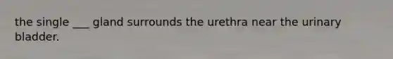 the single ___ gland surrounds the urethra near the urinary bladder.