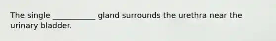 The single ___________ gland surrounds the urethra near the urinary bladder.