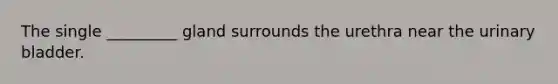 The single _________ gland surrounds the urethra near the urinary bladder.